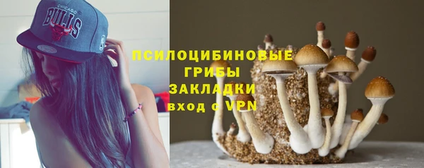 хмурый Шадринск