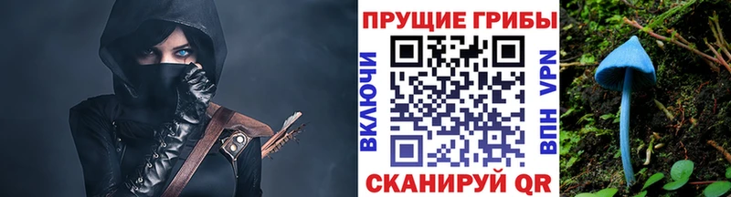 Псилоцибиновые грибы Psilocybe Купить закладки Фокино