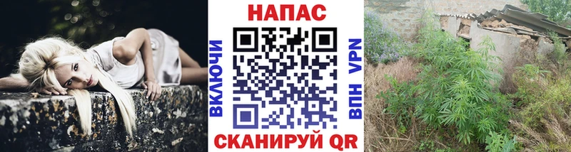 Купить где  Фокино  Марихуана Ganja 